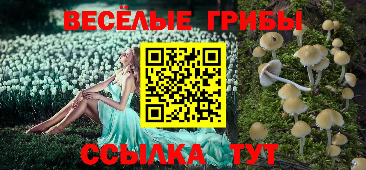 Галлюциногенные грибы мухоморы  Псилоцибиновые грибы Psilocybe  Вход с VPN  Холмск 